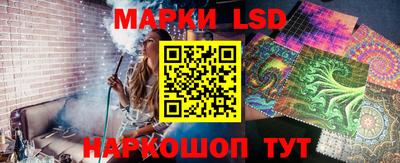 гидра Будённовск
