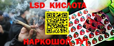 гидра Будённовск