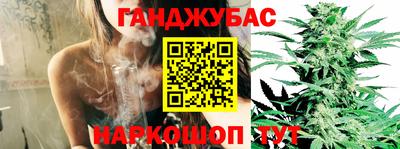 гидра Будённовск