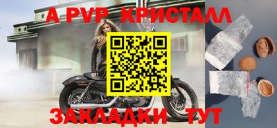 гидра Будённовск