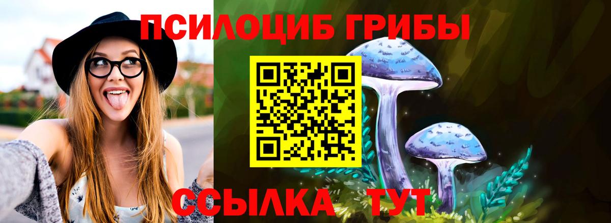 Псилоцибиновые грибы Magic Shrooms  Псилоцибиновые грибы мухоморы  наркошоп  Электросталь  Вход с VPN 